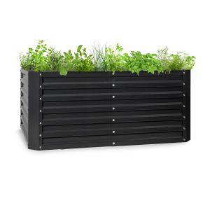 Blumfeldt High Grow Straight