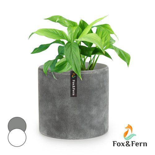 Fox & Fern Venlo