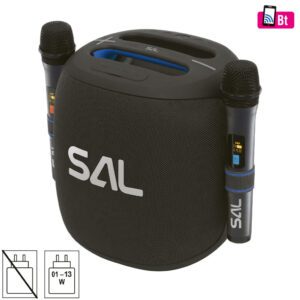 SAL PARCUBE boombox