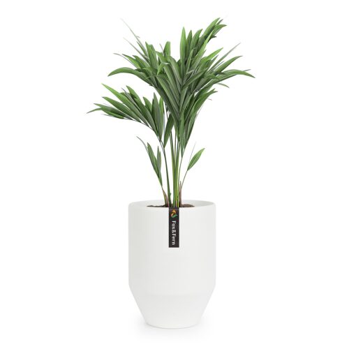 Fox & Fern Almere Virágcserép Polystone Ideális növények részére