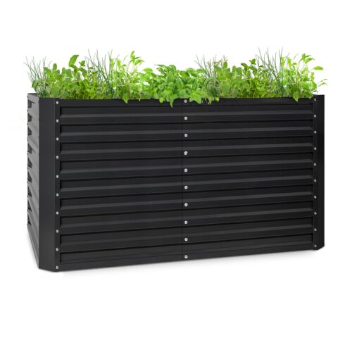 Blumfeldt High Grow Straight