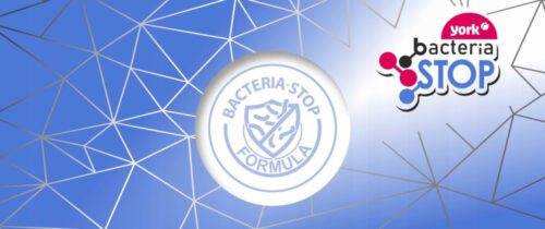 Tartalék mikroszálas padlótisztító párna 1db - YORK BACTERIA STOP - CLEAN HOUSE - Image 2