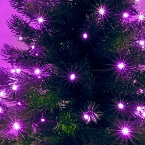 8 m / 100 db pink LED