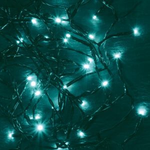 Home KII 100/T LED-es fényfüzér