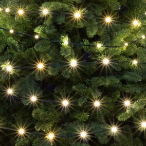 Home LED308DWW DOT LED-es fényfüzér
