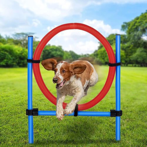 PET TOYS Ugráló gyűrű - 85 x 3 cm (EDC)
