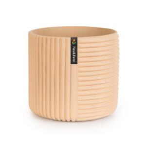 Fox & Fern Hasselt virágcserép polystonból