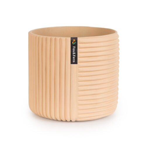 Fox & Fern Hasselt virágcserép polystonból