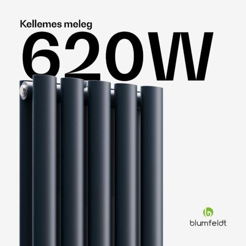 Blumfeldt Tallheo radiátor 120x30 620W - Image 6